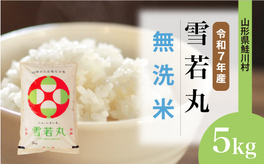 ＜令和7年産米＞ 雪若丸 【無洗米】5kg （5kg×1袋）＜配送時期選べます＞　山形県鮭川村