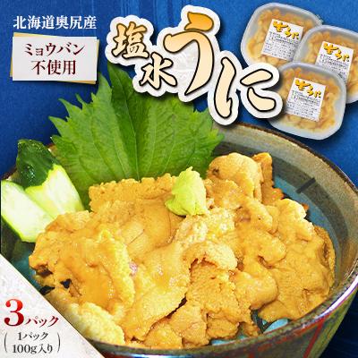 ふるさと納税 奥尻町 【期間限定・配送日指定不可】奥尻産「塩水うに」100g入り 3パック