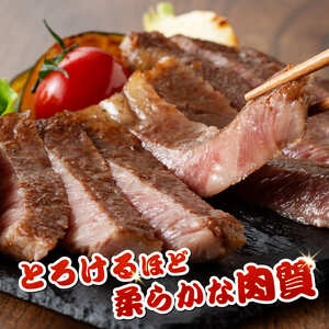宮崎牛 モモステーキ 4枚 400g 【 肉 牛肉 国産 宮崎県産 宮崎牛 黒毛和牛 和牛 焼肉 ステーキ 4等級 A4ランク モモ 】