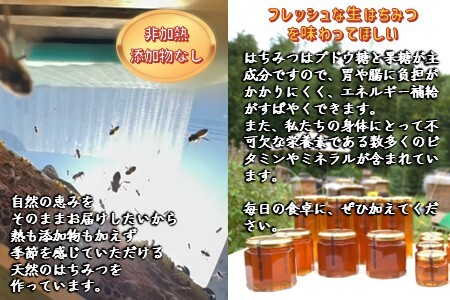 国産純粋生はちみつ ハニービーズコレクション“しろいの季節” 250g 純粋はちみつ 非加熱 添加物なし 百花蜜 単花蜜 国産はちみつ 生はちみつ100% 美味しい