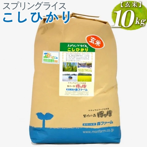 【新米】スプリングライス こしひかり (玄米) 10kg ※着日指定不可 | 米 こめ コメ 10キロ 玄米 こしひかり コシヒカリ 古河市産 茨城県産 取り寄せ お取り寄せ ギフト 贈答 贈り物 プレゼント お中元 お歳暮 茨城県 古河市 直送 農家直送 産地直送 送料無料 _BI67