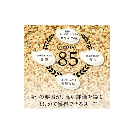特別栽培米 コシヒカリ ヒロシノキモチ 玄米 24kg ブランド米 銘柄米 国産 米 お米 日本米 ギフト 贈り物 備蓄 防災 食品 陽咲玲 はるざれ F6T-1014_イメージ3