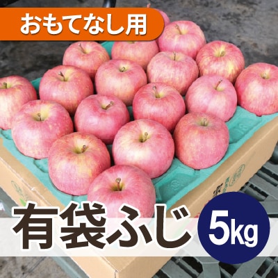 【26年5月出荷予定】平均糖度13度以上! 有袋ふじ 約5kg おもてなし用 CA貯蔵 クール便【配送不可地域：離島・沖縄県】【1613257】