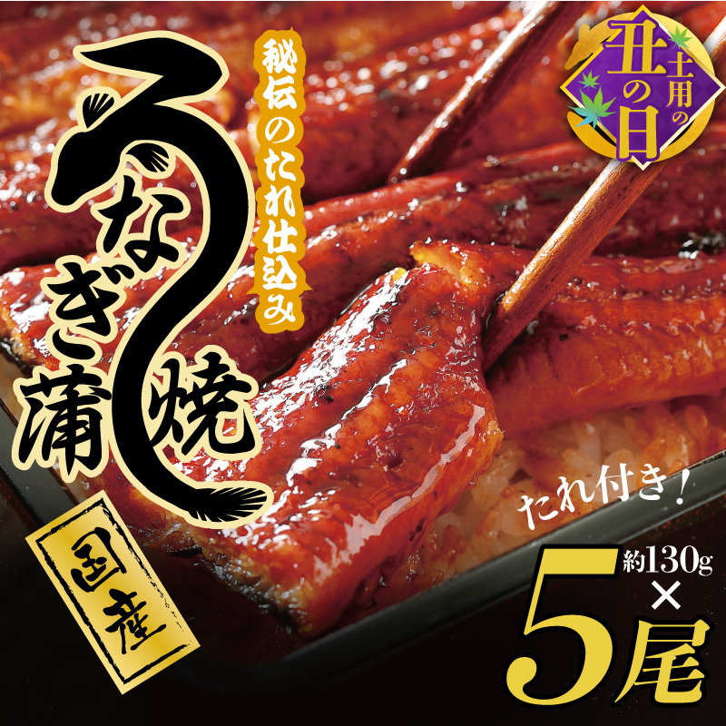 【土用の丑の日までにお届け】国産うなぎ 約130g×5尾  秘伝のたれ 蒲焼 鰻 ウナギ 無頭 炭火焼き 備長炭 手焼き 先行予約 G1857d
