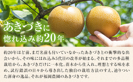 梨 あきづき 約5kg 《9月上旬-9月末頃出荷》梨梨梨梨あきづきあきづき