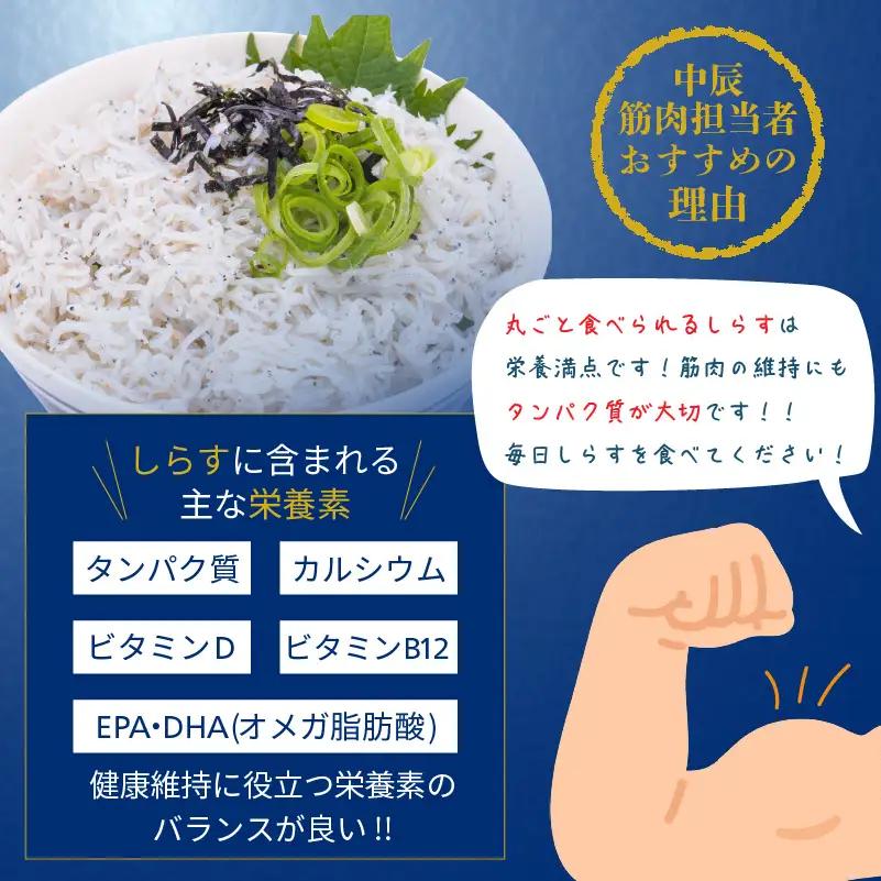 しらす 490g 贈答用 小分け | 米 に合う 釜揚げしらす 【NKT004】