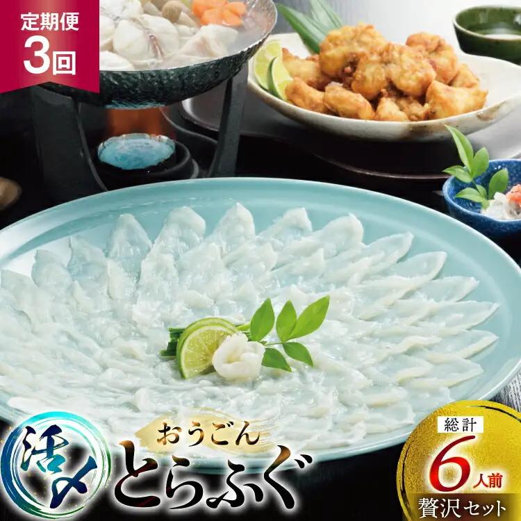 ふぐ 刺身 ふぐ鍋セット 活〆 おうごんとらふぐ 贅沢セット 2人前 3回 定期便