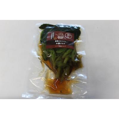 ふるさと納税 飯豊町 柿渋散布の天然農薬栽培 山形県産 せいさい漬け 500g×2袋