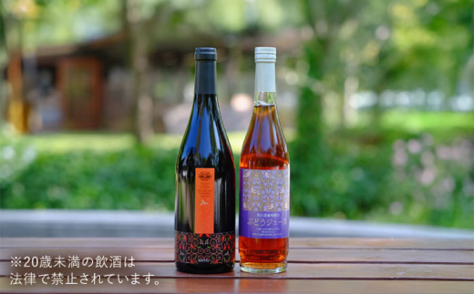 詰め合わせ 奥出雲葡萄園 杜のワイン赤・ぶどうジュースセット  国産 ジュース セット 赤ワイン ワイン ぶどうジュース ブドウジュース 葡萄ジュース ストレートジュース 100% 100パーセント 