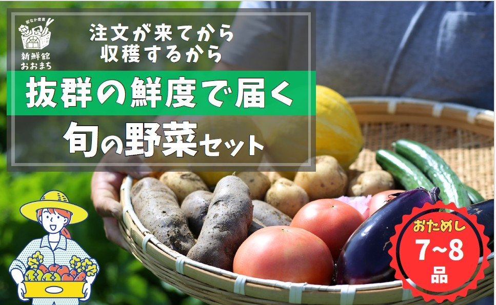 
            【注文が来てから収穫発送！】収穫したばかりの新鮮野菜セットお試しコース 《7～8品》 季節のお野菜 おまかせ お楽しみ 獲れたて産地直送 旬 春野菜 ベジタブル ヘルシー 健康 詰め合わせ 岩手県 一関市産
          