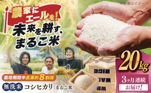 【全3回定期便】無洗米 コシヒカリ 滋賀県西浅井町産「まるこ米」20kg（5kg×4）　滋賀県長浜市/ONE SLASH 株式会社[AQCZ033]  米 お米 白米 無洗米 こしひかり 20kg 地域 応援 定期便