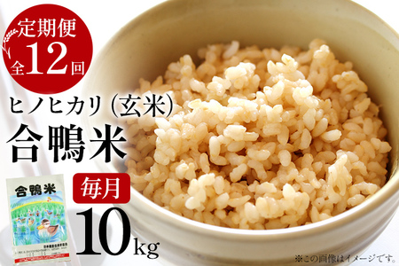令和7年産 予約 合鴨米「ヒノヒカリ」（玄米・10ｋｇ）定期便12回コース※2025年10月中旬より順次出荷予定　BI07　