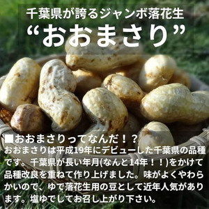 【先行予約】 おおまさり はねだし （ 訳あり ）  約3kg 【落花生】