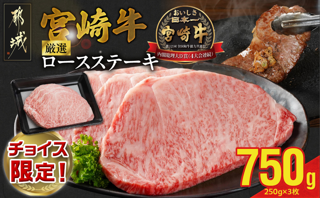 
            【C限定】宮崎牛ロースステーキ250g×3枚 計750g_22-N299-C_(都城市) 宮崎県産 宮崎牛 ロースステーキ 750g
          