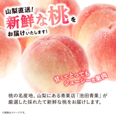 桃 約3kg (8玉～12玉) 厳選 ! 池田青果の もも【配送不可地域：離島・沖縄県】