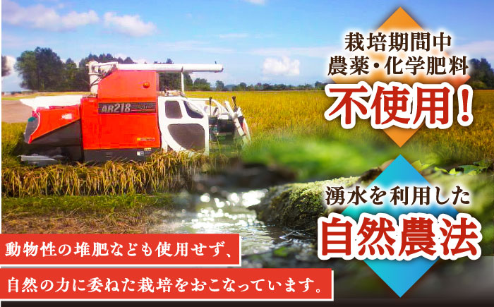 【自然農法で育てた特別栽培米】令和5年産 ヒノヒカリ 玄米 6kg（3kg×2袋）/永尾 忠則 [UAS006] 棚田米 棚田玄米 米 お米