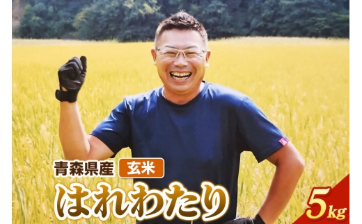 玄米 青森県産 はれわたり 令和7年産 5kg (5kg×1袋）十和田市産 [青森 はれわたり 米 お米]
