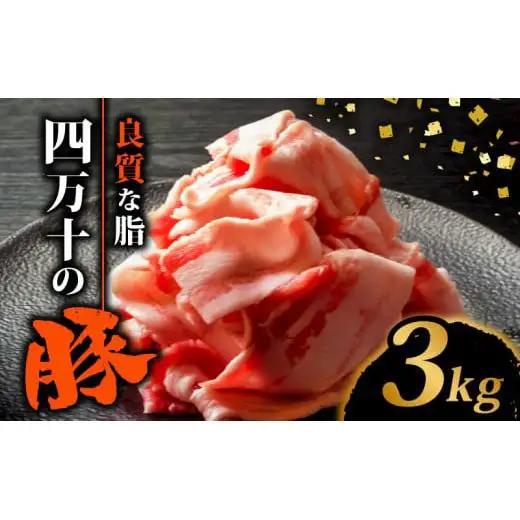 【 豚肉 】 豚肉切り落とし3kg
