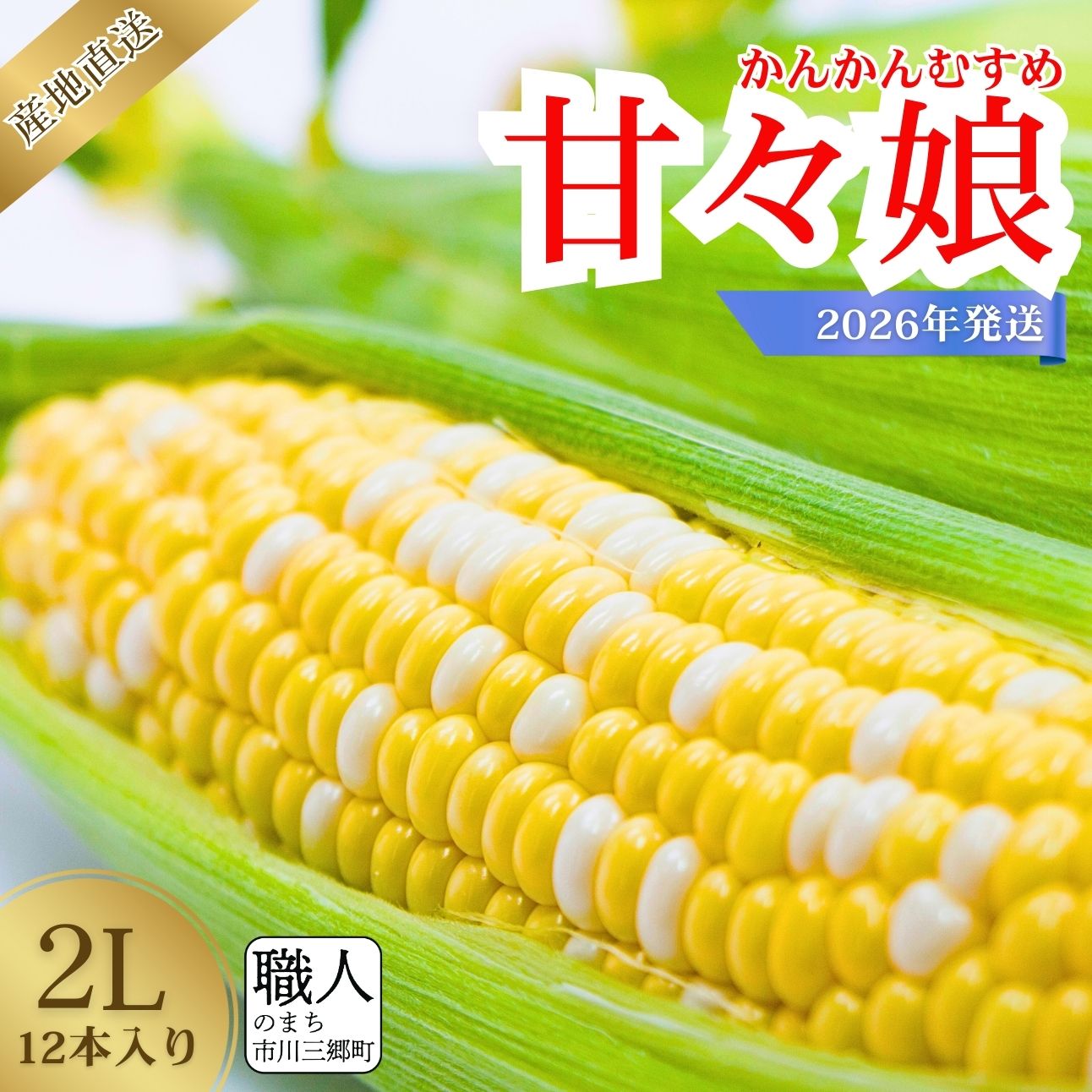 【ふるさと納税】 とうもろこし 甘々娘 市川三郷町 2026年 6月上旬 発送 産地直送 2Lサイズ 12本入り Dragon farm 山梨県 市川三郷町 人気 スイートコーン コーン トウモロコシ 朝採り 先行 先行予約 甘い 野菜 夏野菜 BBQ