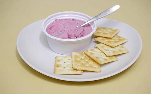 フレッシュクリームチーズハスカップ＆ハニー（4個セット）北のハイグレード食品 フレッシュチーズ 蜂蜜 ハチミツ サンドウィッチ おつまみ サラダ 乳酸菌 F6S-432
