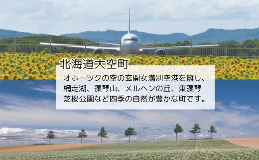 【先行予約】玉ねぎ Mサイズ 20kg 大空町産（2025年10月上旬より発送） OSR010
