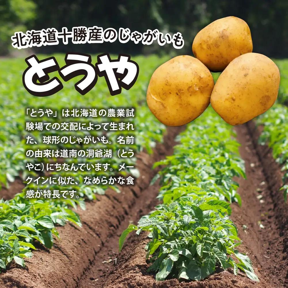皮付き フライドポテト 計 2kg 冷凍 フライドポテト 北海道