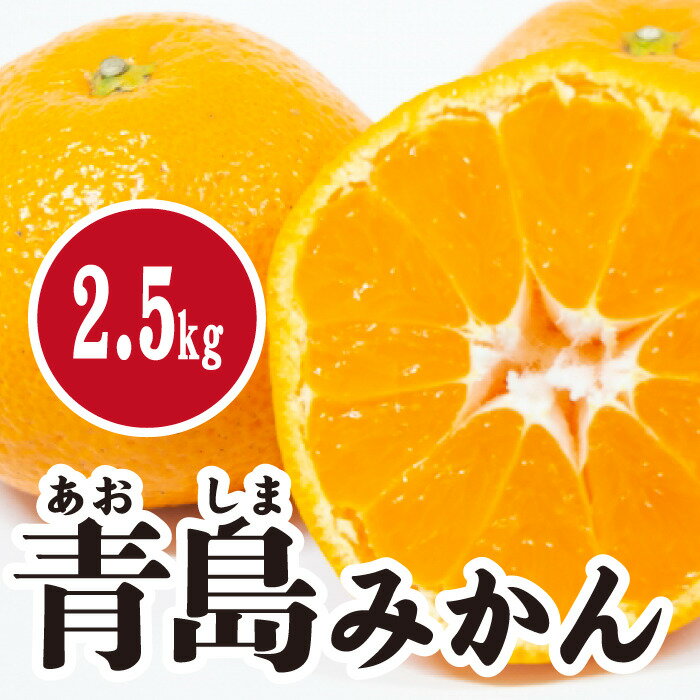 【ふるさと納税】みかん【先行受付】【2026年1月末以降発送】 濃厚な甘さが特徴！青島みかん ＜約2.5kg＞ 広島 三原 佐木島 鷺島みかんじま 017053