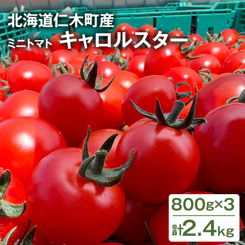 [先行受付] 北海道 仁木町産 ミニトマト キャロルスター 2.4kg （96粒～150粒）トマト 野菜 国産 プチトマト 甘み 使いやすい サラダ お弁当 家庭用 子供に人気 リコピン [REDA FARM]