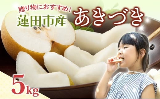 蓮田市産 あきづき 5kg フルーツ 果物 ナシ なし 甘い みずみずしい シャリシャリ 食感 果汁 くだもの デザート おやつ お取り寄せ 産地直送 旬 ギフト 贈答用 家庭用 埼玉県 蓮田市