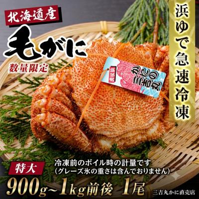 ふるさと納税 白老町 【浜ゆで自社タグ付】北海道産ボイル毛ガニ900g〜1000g前後×1尾 冷凍