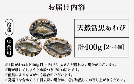 日本海若狭湾の 天然 活黒アワビ 計400g (2～4個) 小サイズ 鮮度抜群 刺身 お造り バター焼き BBQ あわび アワビ 鮑 クロアワビ 黒あわび【2024年8月31日まで発送】[m17-d0