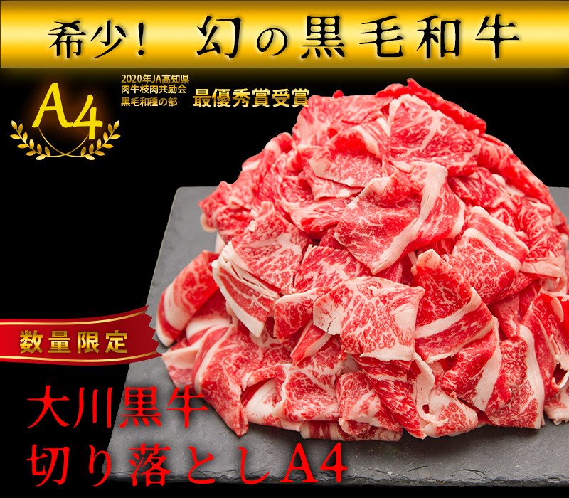 
国産黒毛和牛 大川黒牛 切り落とし A4（250g×2パック） 国産 黒毛和牛 A4 切り落とし 牛肉 高知県 大川村 F6R-020
