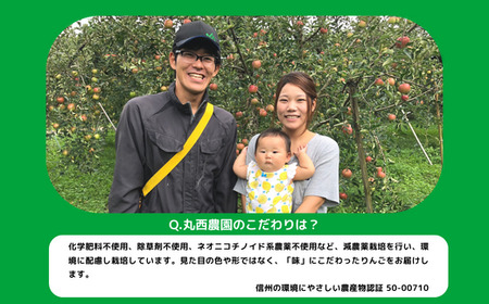 りんご サンつがる 家庭用 5kg 丸西農園 沖縄県への配送不可 2026年9月上旬頃から2026年9月中旬頃まで順次発送予定 令和8年度収穫分 特別栽培農産物 ( 除草剤 化学肥料 不使用 ) 信州