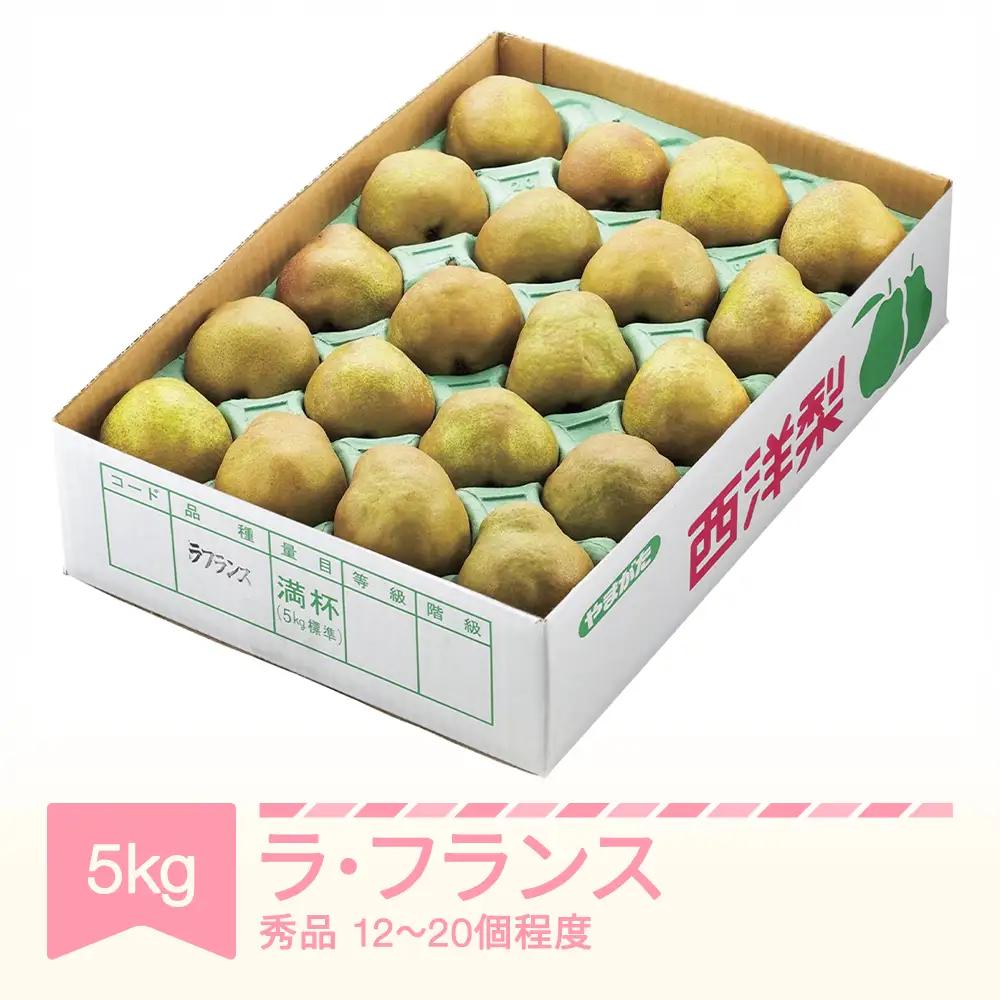 【先行予約】ラ・フランス 秀品 約5kg 令和8年産 sb-lasyx5