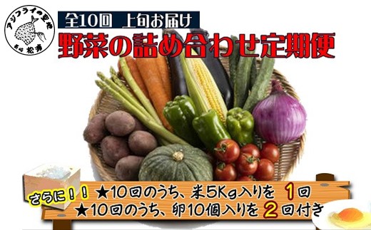 米5kgと卵20個付き！野菜の詰め合わせ定期便10回(上旬)【定期便】【K00-009】