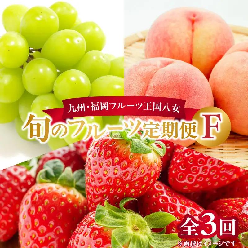 九州・福岡フルーツ王国八女 旬のフルーツ定期便【全3回】F ＜配送不可：北海道・沖縄・離島＞ フルーツ 定期便 あまおう シャインマスカット もも 季節のフルーツ 果物 おすすめ セット 産地直送 福
