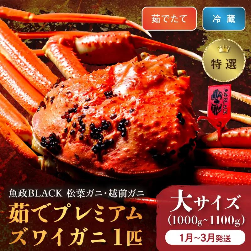 【蟹の匠 魚政】茹で　プレミアムズワイガニ 魚政BLACK（松葉ガニ・越前ガニ）特撰 大サイズ（1000～1100g） 1匹(1月～3月発送）蟹
