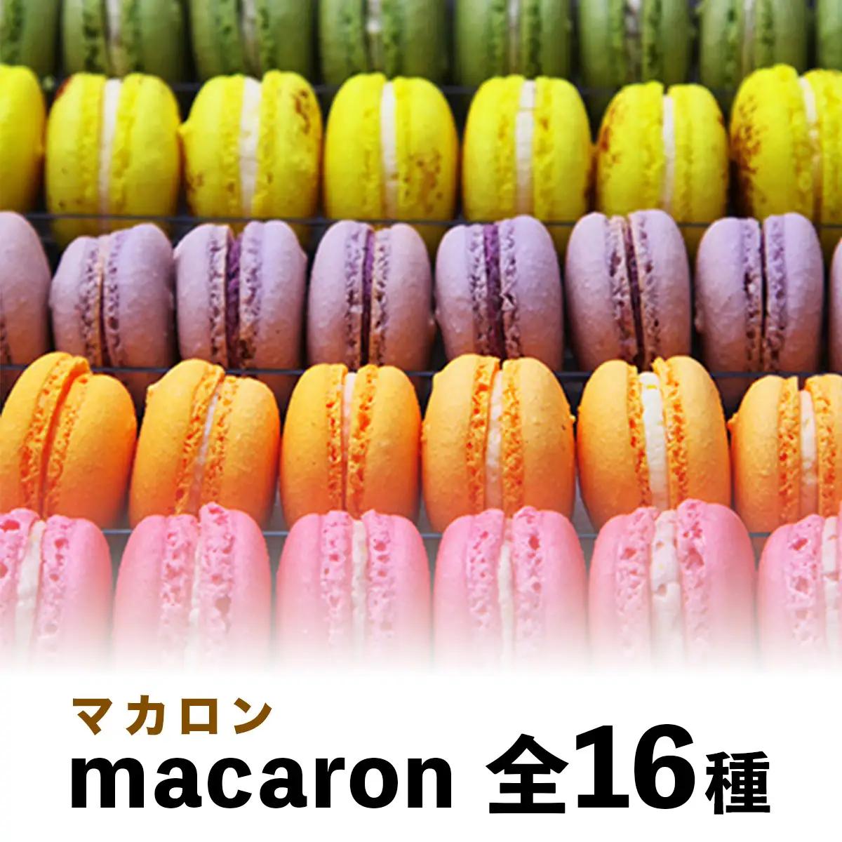 アミエル人気のころんと可愛いマカロン詰合せセット 全16種 [0627]