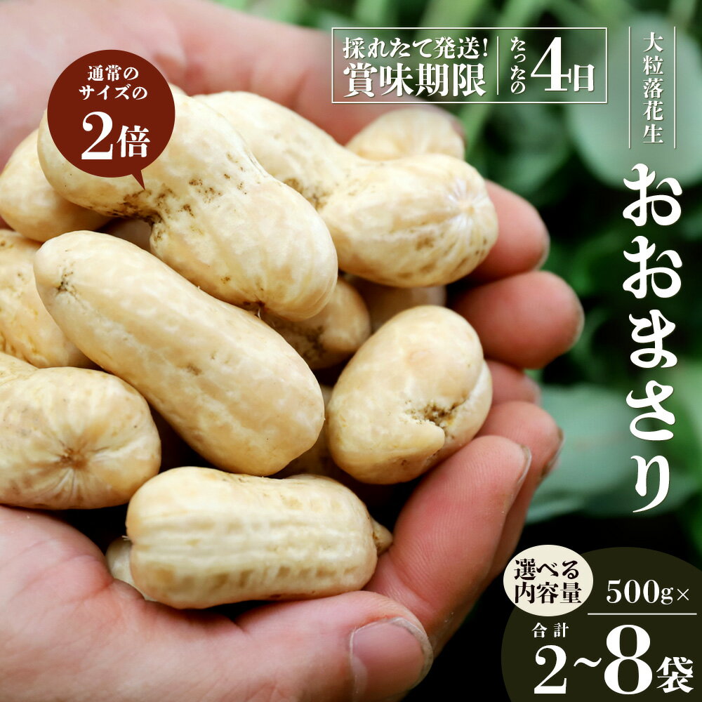 【ふるさと納税】【先行予約・数量限定】食べ応え抜群の大粒落花生「おおまさり」選べる内容量！（1kg～4kg） ｜鹿児島県産 野菜 やさい 食品 人気 おすすめ 送料無料 落花生 おおまさり 産地直送 新鮮 南大隅町
