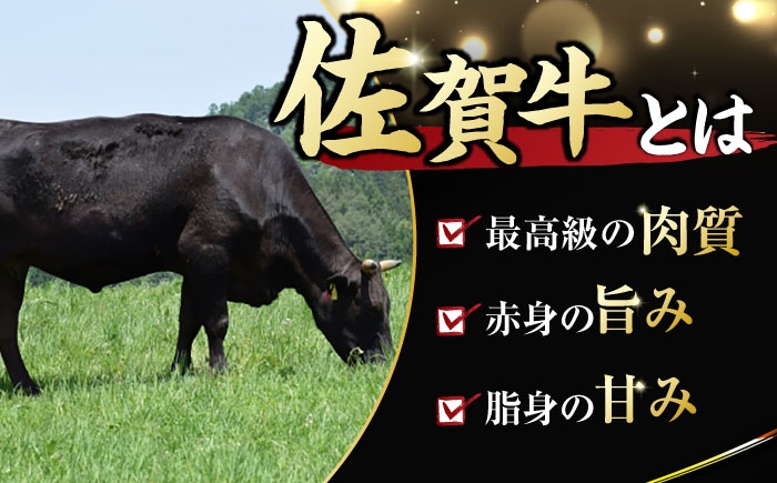  佐賀牛 ヒレステーキ 総計600g  佐賀牛 ひれすてーき ヒレ ステーキ 150g 2枚 小分け 2回定期便