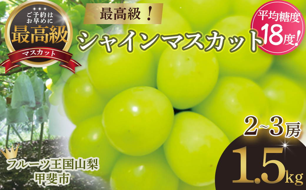 【2025年分発送】 最高級 シャインマスカット 2～3房 約1.5kg 先行予約 山梨県産 産地直送 フルーツ 果物 くだもの ぶどう ブドウ 葡萄 シャイン シャインマスカット 新鮮 人気 おすす