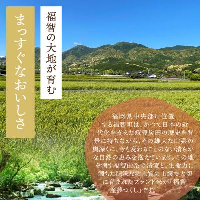 ふるさと納税 福智町 福智町産ブランド米(夢つくし5kg) |  | 02