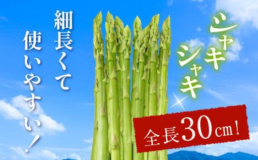 柔らかさと甘みが際立つ さぬきのめざめセミロング30cm(Mサイズ) 約1.5kg【2024-6月上旬～2024-6月下旬配送】