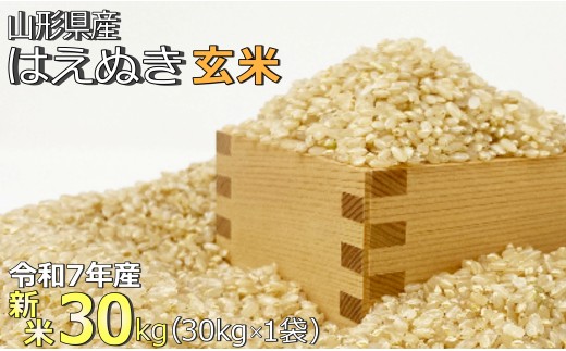 【令和7年産新米】【玄米】山形県産「はえぬき」30kg_A190(R7)
