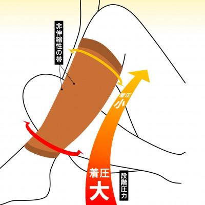ふるさと納税 かほく市 【ふるさと納税】ツカレナイン 着圧サポーター【フクラハギ】(ベージュ:Sサイズ)1ペア(両足2枚入) |  | 03