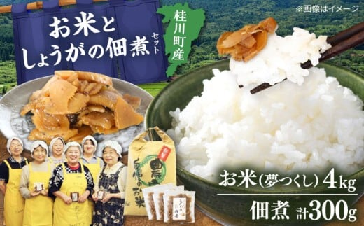 桂川町産 白米 4kg と しょうがの佃煮セット ▼ 漬物 米 コメお取り寄せ ご飯のお供 おいしい 冷蔵 つくだに 福岡 福岡県産 お米 セット 桂川町/けいせんとれたて村加工部[ADAI001]