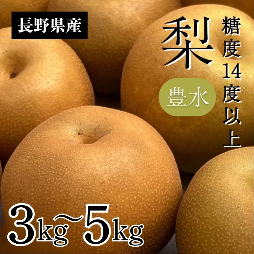 【ふるさと納税】【2026年先行予約】梨 豊水 糖度14度以上【選べる容量】約3kg 約5kg | 果物 くだもの フルーツ 豊水梨 梨 なし ナシ 新鮮 長野県 信州 南信州 飯田市 AR12 AR13