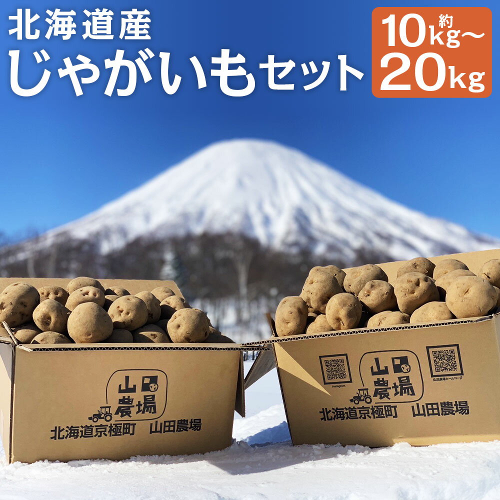 【ふるさと納税】北海道産じゃがいも 食べ比べセット 男爵・キタアカリ 約10kg/約20kg 選べる内容量 M～2Lサイズ混載 じゃがいも芋 野菜 山田農場 京極町産 北海道産 国産 送料無料【2025年9月下旬～2026年3月上旬に順次発送予定】