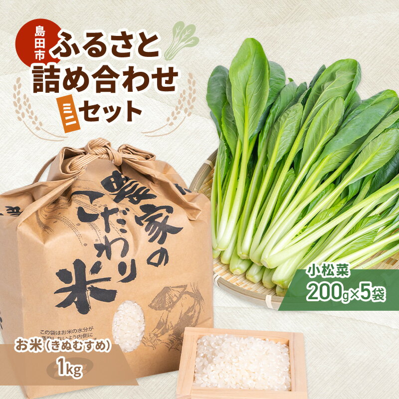 【ふるさと納税】小松菜 お米(きぬむすめ) 詰め合わせ セット1　野菜 やさい こまつな 旬 国産 米 こめ コメ 産地直送 詰合せ 静岡県 島田市　お届け：2025年11月1日～2026年3月31日まで