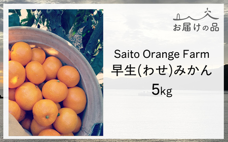 【先行予約】Saito Orange Farmの早生(わせ)みかん5kg （2025年11月下旬頃より順次発送） IKTAQ020